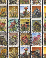 Stamps Proteas
